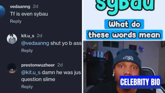 What Does Sybau Mean