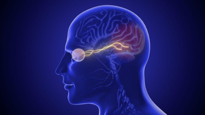 Who Is a Neuro Ophthalmologist and When Do You Need One
